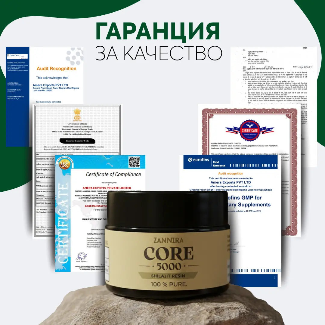 Шилажит смола ZANNIRA CORE 5000 - 30гр.