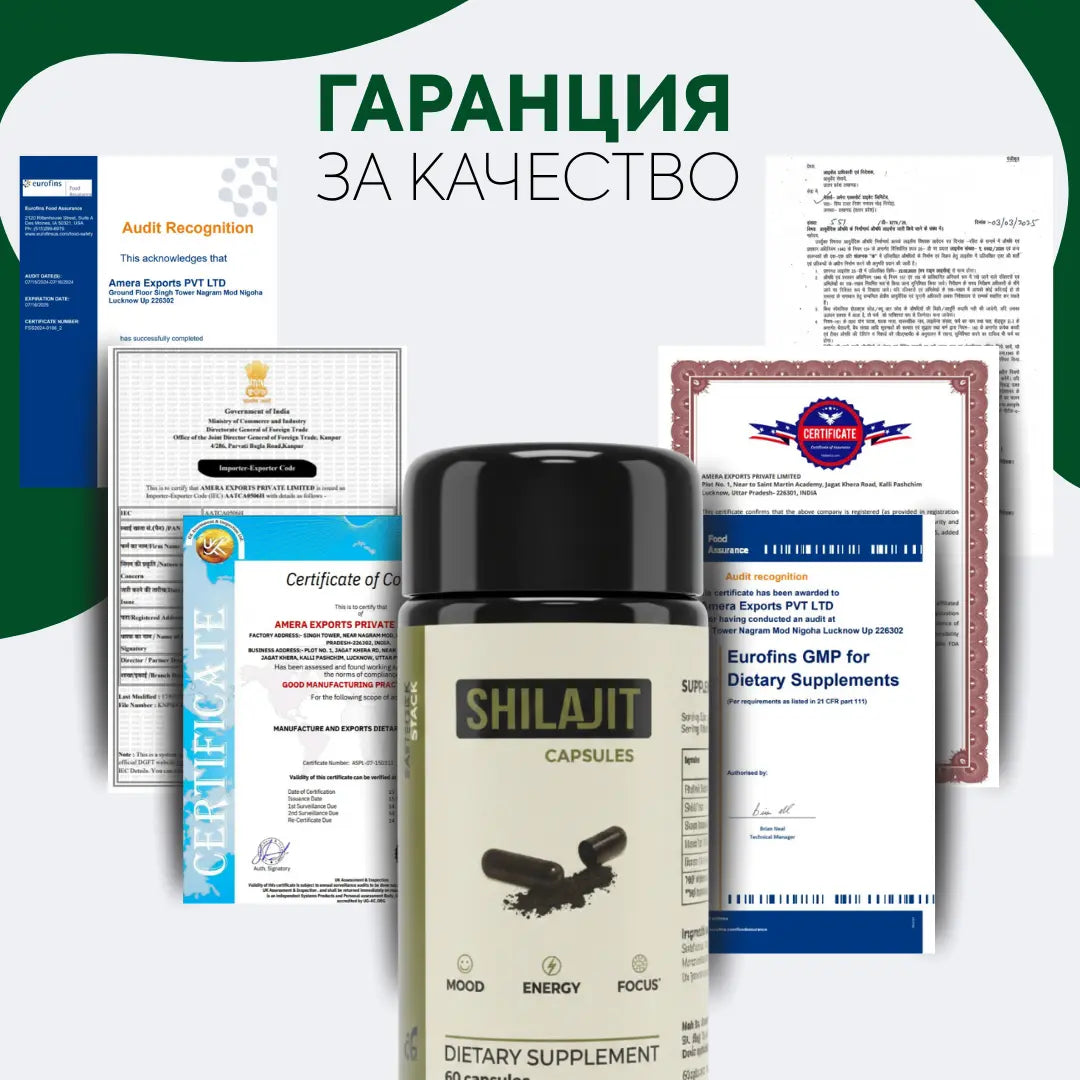 Капсули с шилажит ZANNIRA STACK